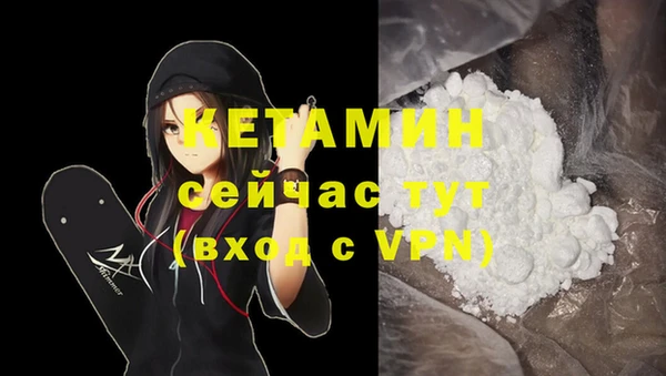 стаф Белокуриха
