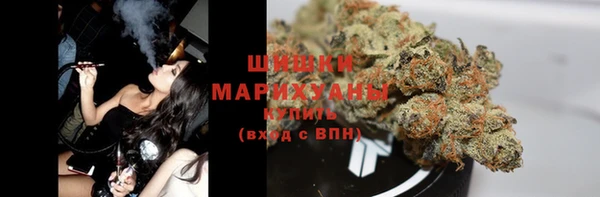 стаф Белокуриха