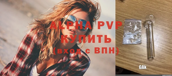 стаф Белокуриха