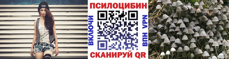 закладки Вуктыл OMG ссылка Галлюциногенные грибы мухоморы